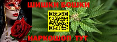 spice Славгород