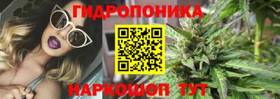 spice Славгород