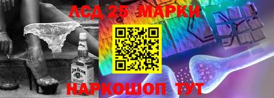 хмурый Сланцы
