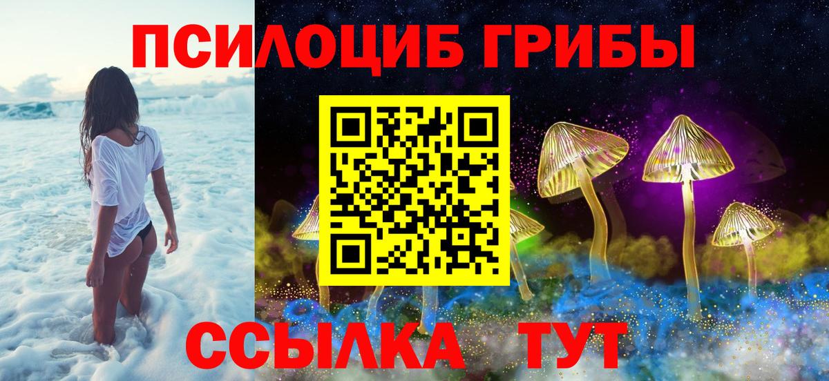 Галлюциногенные грибы GOLDEN TEACHER  Вход с VPN  цена   Ржев 